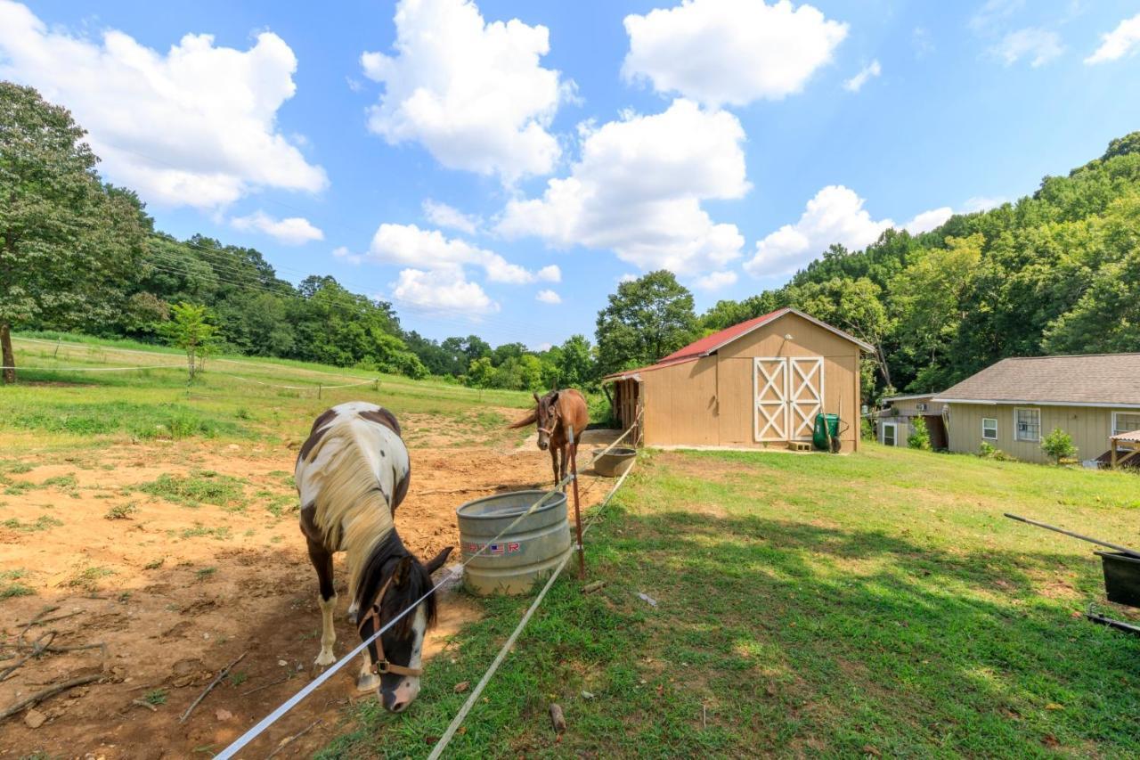 4 Bedroom Country Getaway Nashville Exteriör bild